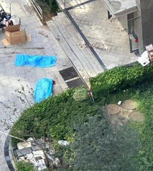 坠楼惨剧已造成涉案家庭的母亲及1名孩子死亡。