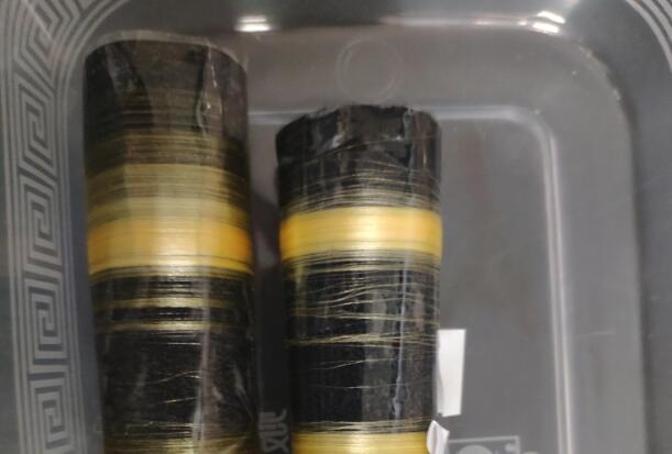 科学家利用技术,让蚕虫吐出坚韧的蜘蛛丝。 科学家利用技术,让蚕虫吐出坚韧的蜘蛛丝。