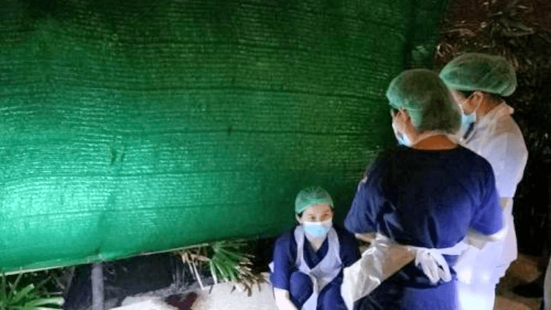 警察和法医展开调查 警察和法医展开调查