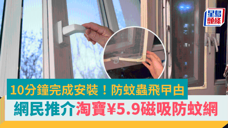 网民淘宝5.9买磁吸防蚊网，10分钟安装，防蚊虫蟑螂，养猫都适用？