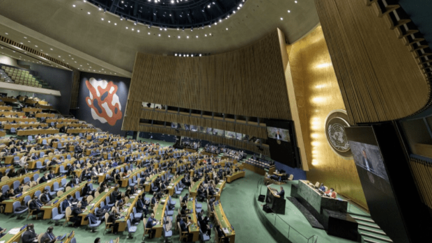 联合国理事会 联合国理事会