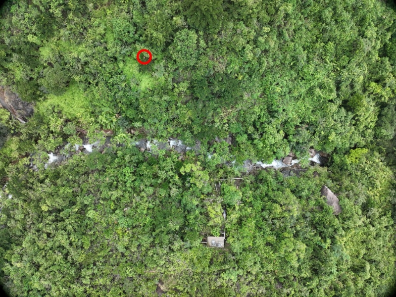 李伟鹏事后在密林丛中,发现失踪少年。李伟鹏提供 李伟鹏事后在密林丛中,发现失踪少年。李伟鹏提供