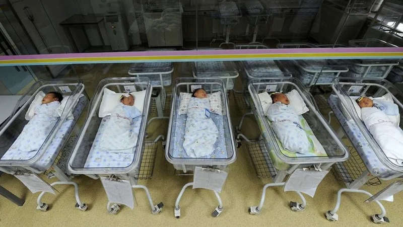 内地去年出生人口956万,今年恐续滑至700至800多万 内地去年出生人口956万,今年恐续滑至700至800多万