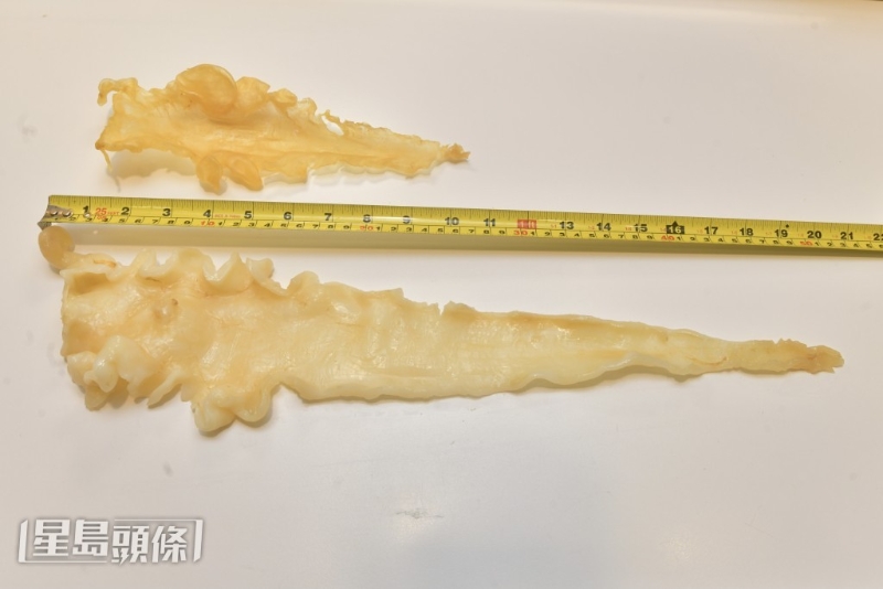 鳕鱼胶可发大超过一倍。 鳕鱼胶可发大超过一倍。