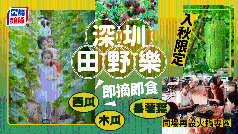 秋季限定！深圳光明体验田园采摘，即摘即食西瓜、甘蔗、木瓜