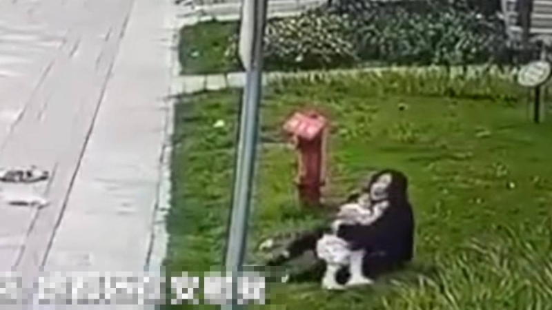 母亲紧抱被黑狗撕咬的女儿。