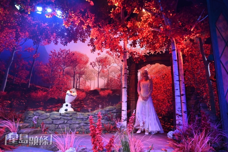 魔雪奇缘园区互动体验 3.森林小天地互动体验 魔雪奇缘园区互动体验 3.森林小天地互动体验