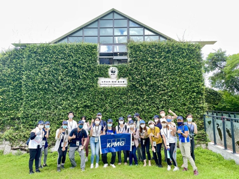 毕马威鼓励同事参与保育活动，把美好体验和其他人分享。