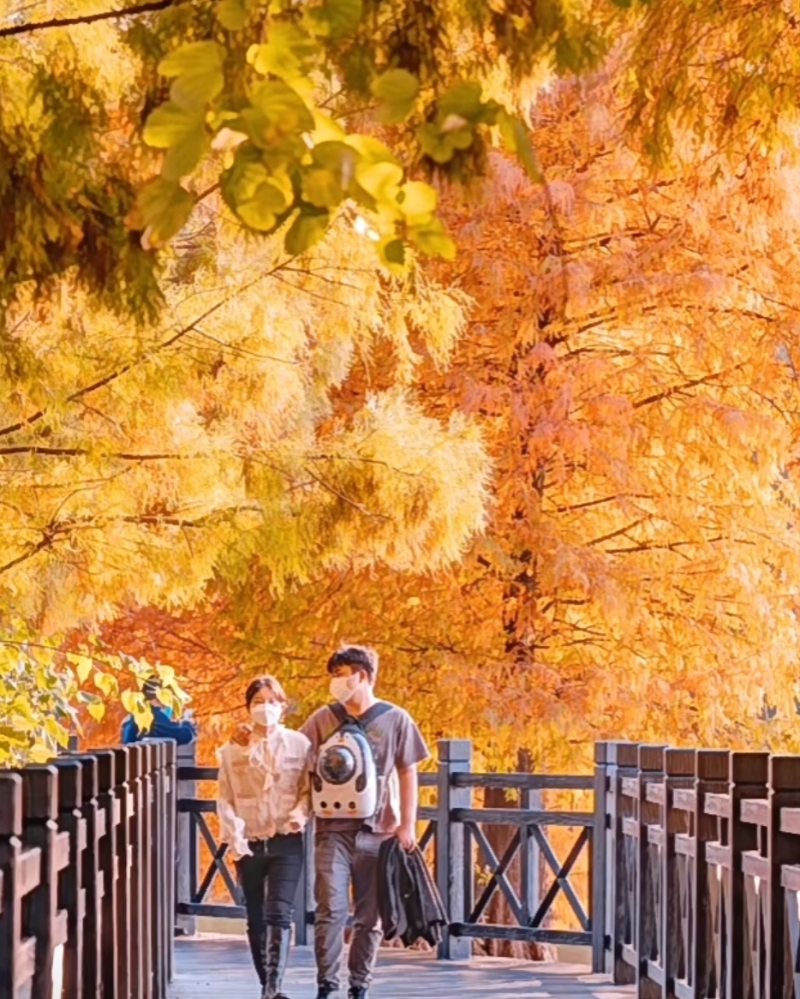 广州海珠湖公园