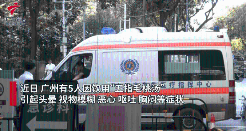 出现呕吐、头晕等症状(影片截图:广东台触电新闻) 出现呕吐、头晕等症状(影片截图:广东台触电新闻)
