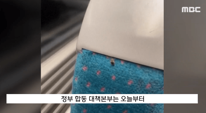 南韩交通工具座椅出现蝨患（影片截图：MBC）
