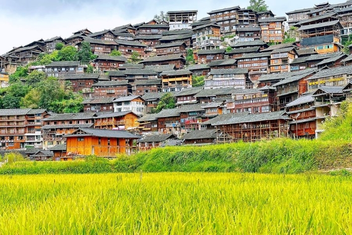 楼主：千多户吊脚楼位处雷公山麓的重峦之中，建在半山之上。