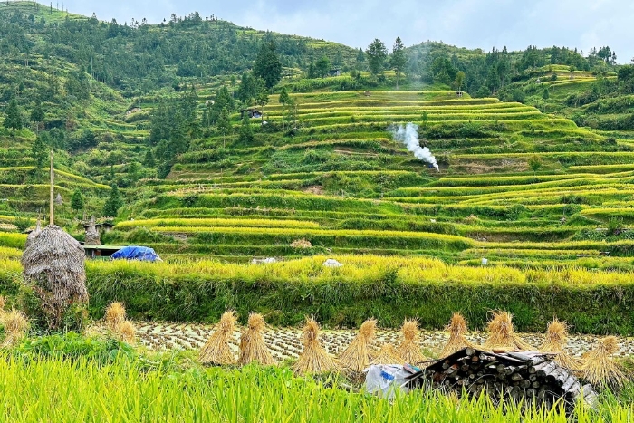 楼主：苗寨别具风情。