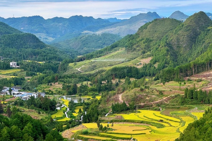 路上风光秀丽如画。