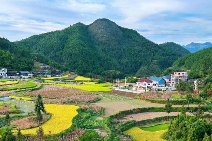 贵州“地无三里平”。