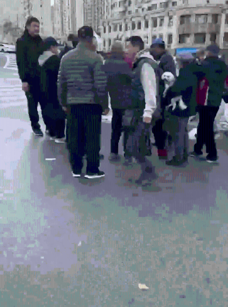 人群围观喂食 人群围观喂食