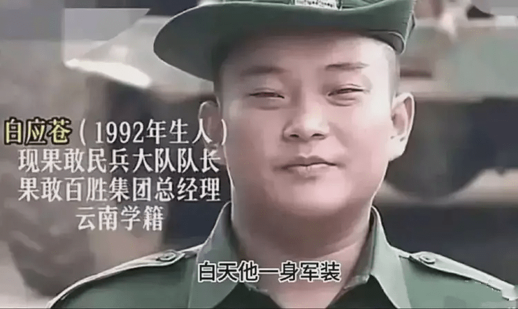 白应苍。 白应苍。