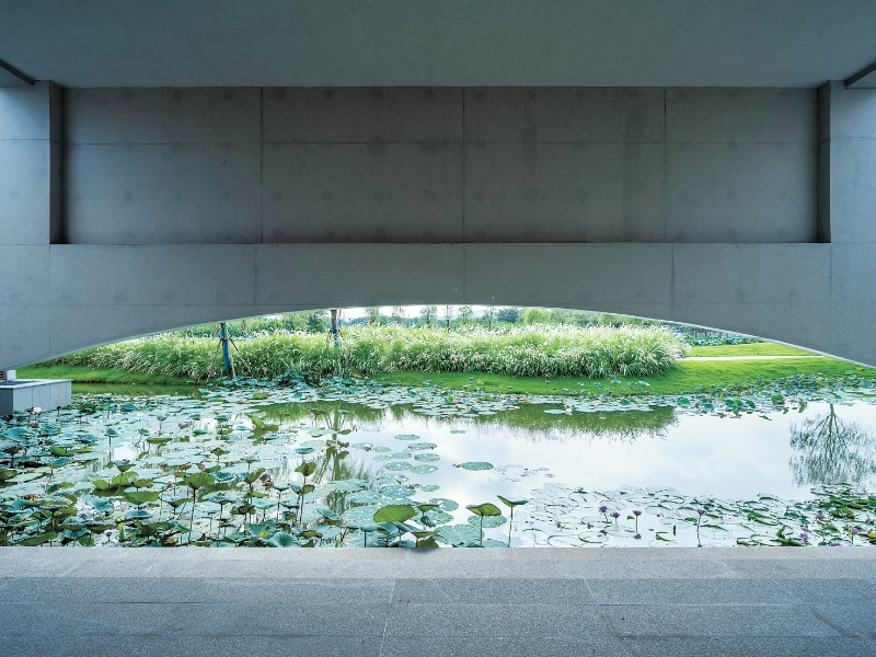 春阳台的屋顶荷塘,与古村荷塘共同构成“立体荷塘”之格局。 春阳台的屋顶荷塘,与古村荷塘共同构成“立体荷塘”之格局。