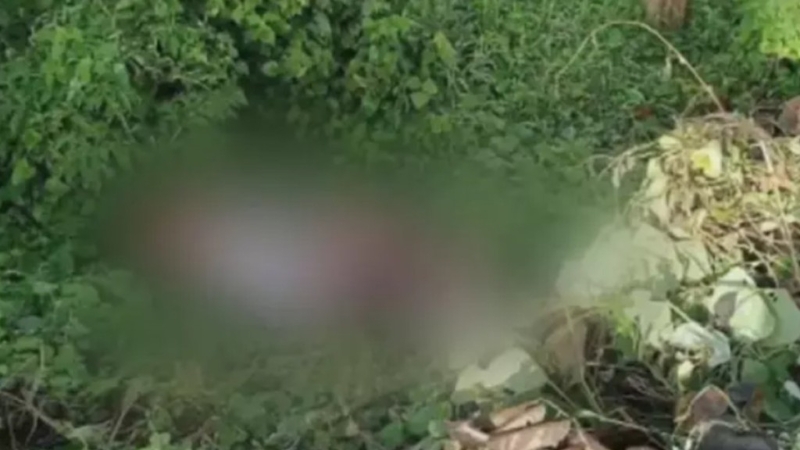 菲律宾6名被绑架中国公民案，当中已有4人遇害。 微博