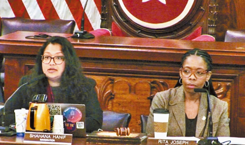 移民事务委员会主席Shahana Hanif和教育委员会主席Rita Joseph在公听会上。