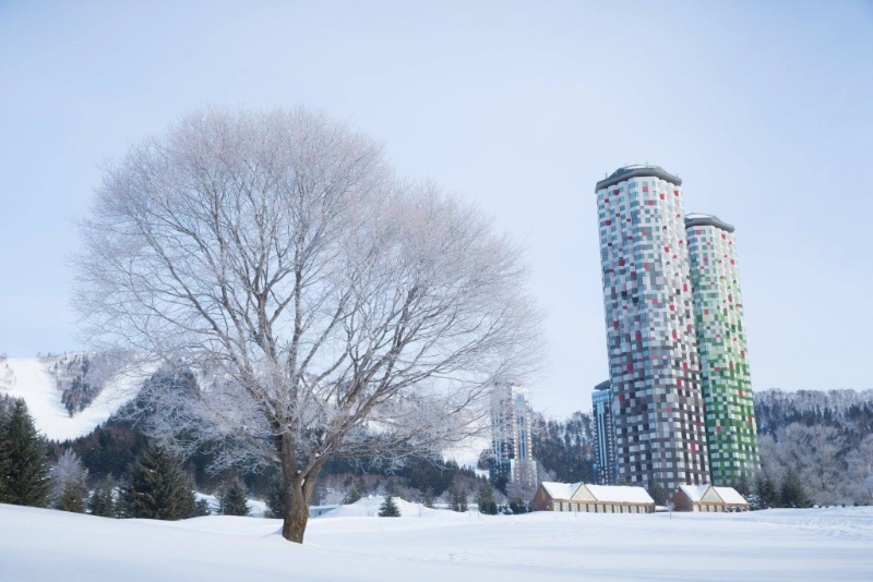 北海道星野TOMAMU 度假村 北海道星野TOMAMU 度假村