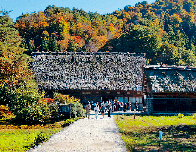 和田家是整个白川乡荻町集落中最大的合掌屋。