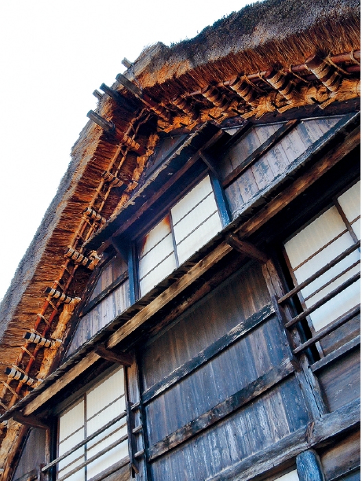 每间合掌屋都有以茅草建成的厚厚屋顶，方便卸去积雪。