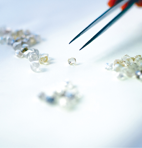 工作坊参加者可以利用显微镜，观察并了解天然钻石特定的净度特征。