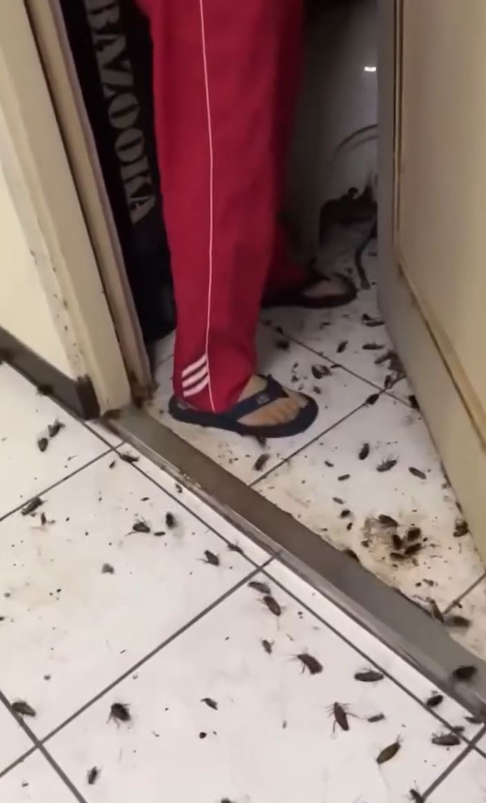 现场环境让人毛骨悚然 现场环境让人毛骨悚然