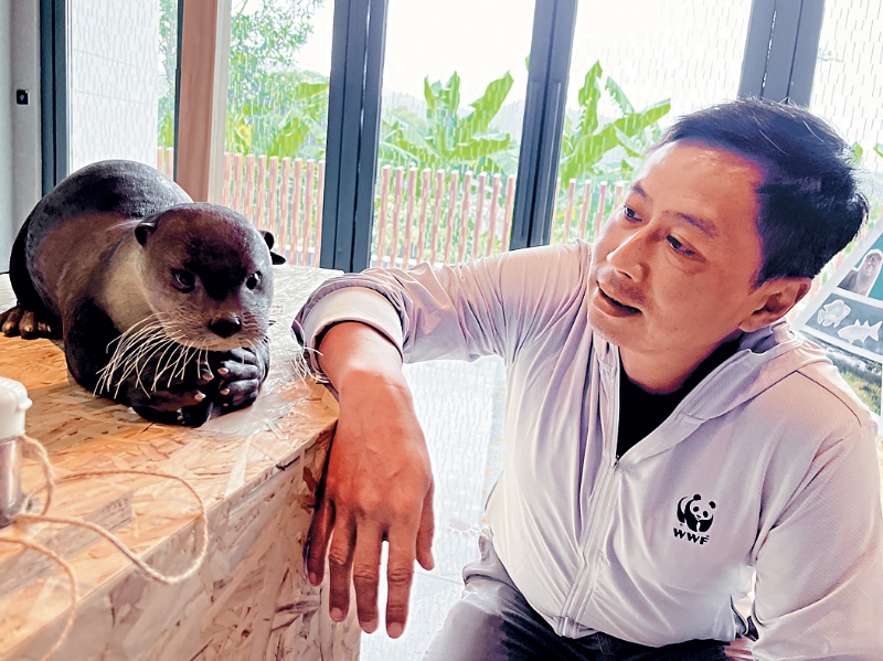 MAZ02P04111223 copy MAZ02P04111223 copy