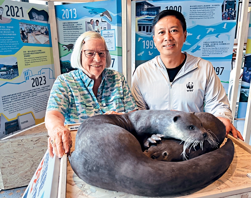 MAZ02P05111223 copy MAZ02P05111223 copy