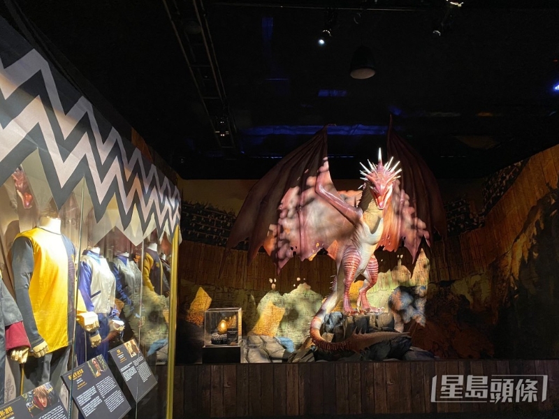 其他展区:《哈利波特:火焰杯》三巫斗法大赛场景 其他展区:《哈利波特:火焰杯》三巫斗法大赛场景