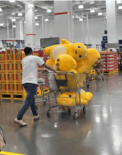 一位男网民被拍到用手推车塞满5只奶龙 一位男网民被拍到用手推车塞满5只奶龙