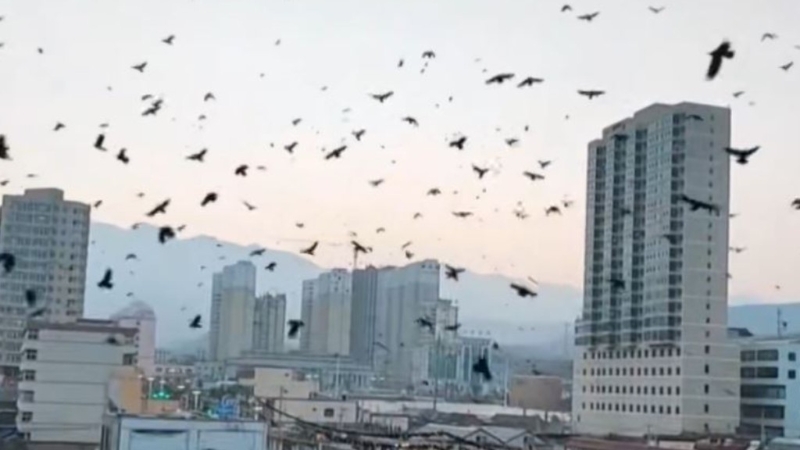 影片截图 影片截图