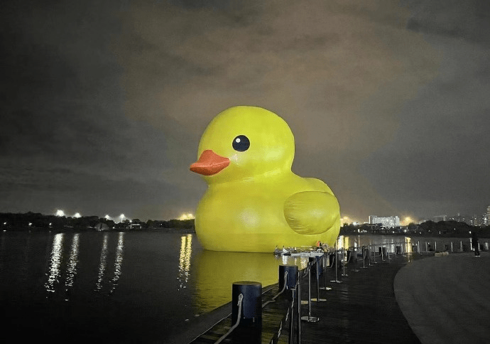 巨型大黄鸭“游”到深圳湾， 现身深圳人才公园。