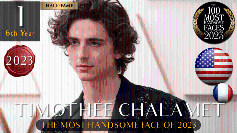 美法混血演员「甜茶」Timothée Chalamet拿下「2023年全球最帅面孔」的头衔。 美法混血演员「甜茶」Timothée Chalamet拿下「2023年全球最帅面孔」的头衔。