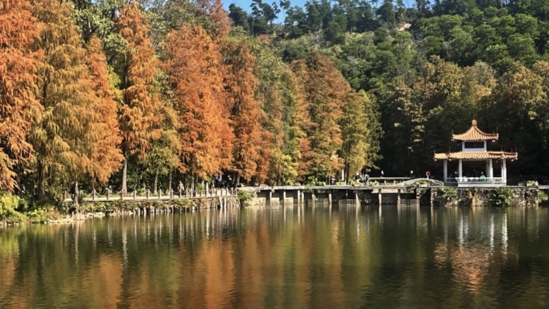 深圳景区元旦接待量排名前十:仙湖植物园 深圳景区元旦接待量排名前十:仙湖植物园