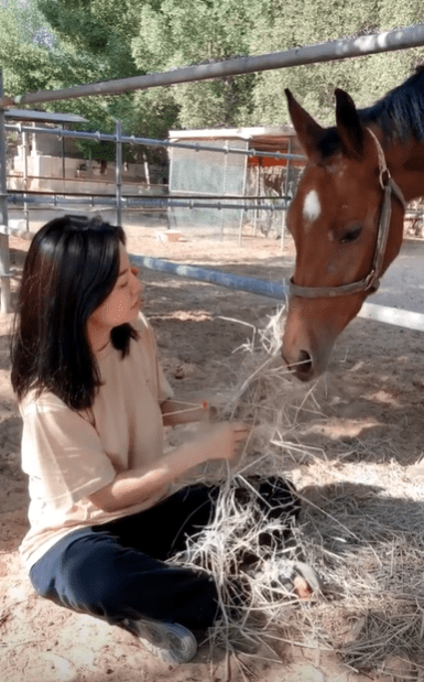 兴建了私人动物园 兴建了私人动物园