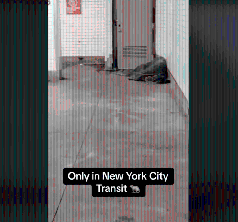 纽约市一个地铁站内,一名无家可归者盖着灰色毯子睡在月台尽头的地板上,只露出鞋子。 纽约市一个地铁站内,一名无家可归者盖着灰色毯子睡在月台尽头的地板上,只露出鞋子。