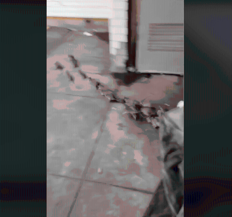 拍摄者行近,流浪汉掀开毛毯,老鼠群一涌而出。 拍摄者行近,流浪汉掀开毛毯,老鼠群一涌而出。