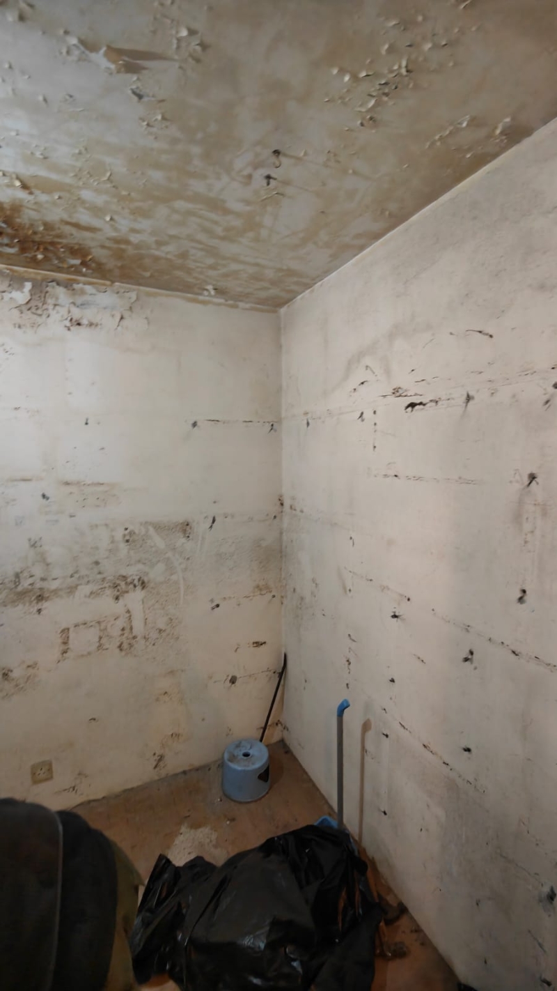 清理后的客厅终入屋望见墙角。