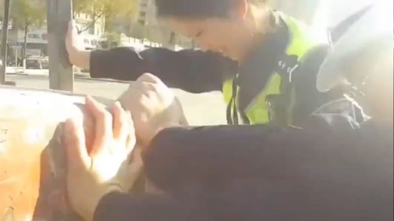 女交警全力将铲车推走。 女交警全力将铲车推走。