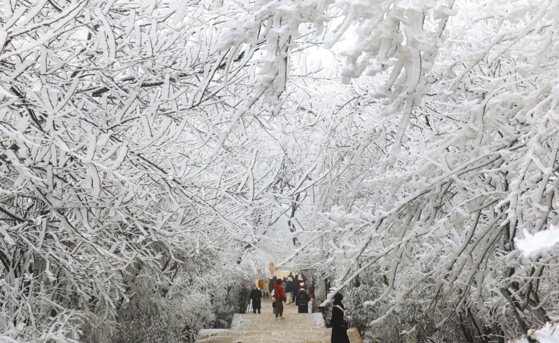 游客在江苏连云港市花果山玉女峰观赏雾淞。新华社 游客在江苏连云港市花果山玉女峰观赏雾淞。新华社