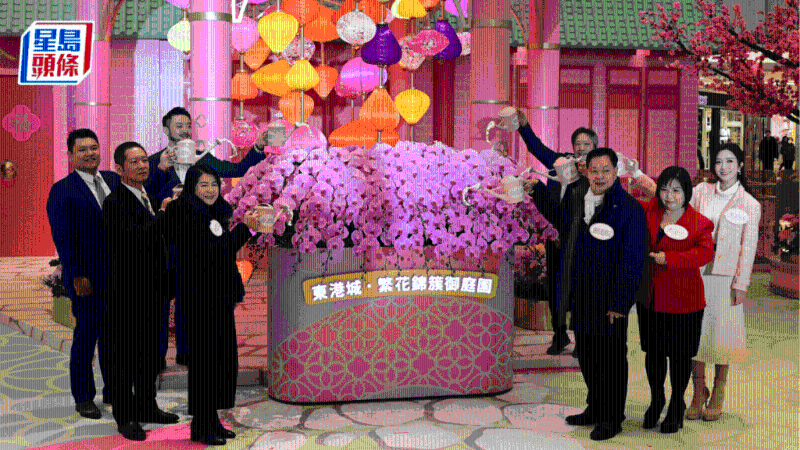 将军澳东港城1.19起一连22日推花展会,逾百款兰花可供选购。 陈极彰摄 将军澳东港城1.19起一连22日推花展会,逾百款兰花可供选购。 陈极彰摄