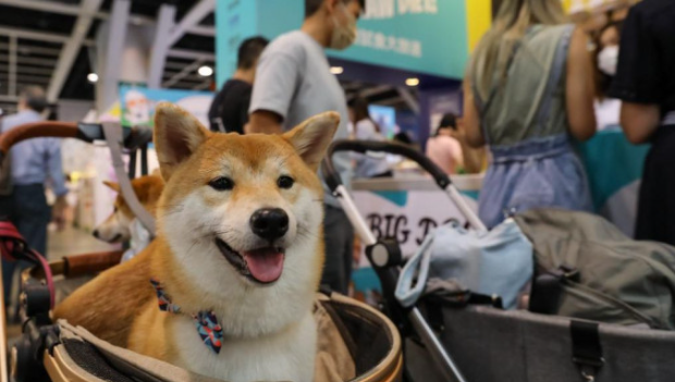 汇集各地特色产品,有望贯通海内外市场,港“毛孩经济”潜力大 汇集各地特色产品,有望贯通海内外市场,港“毛孩经济”潜力大