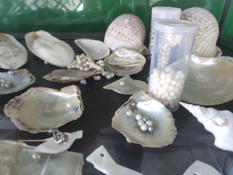 (图片来源: kkday) (图片来源: kkday)