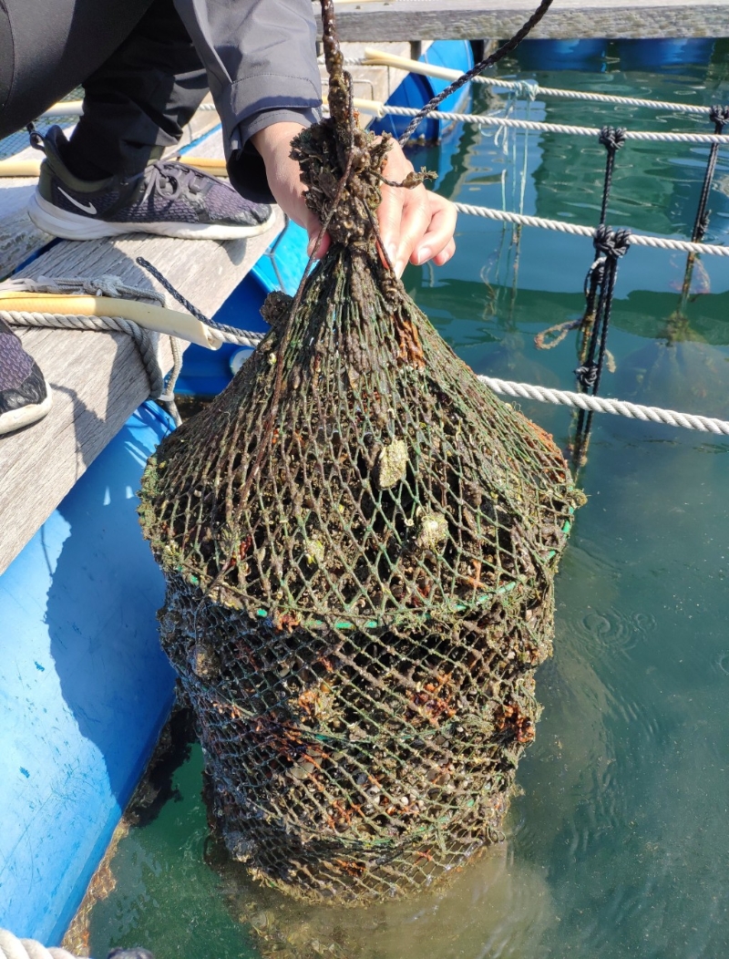 (图片来源:kkday) (图片来源:kkday)