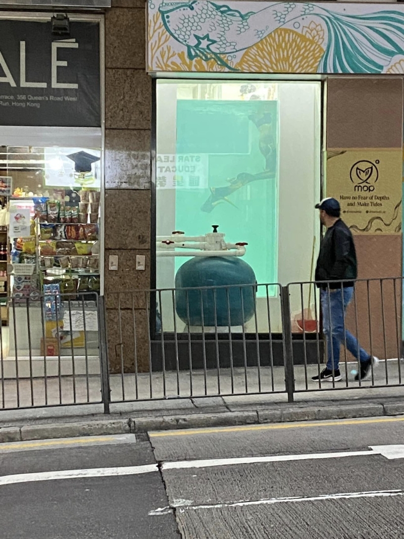 西环街头现美人鱼|西环某店内竟有“美人鱼”在大水池中畅泳 西环街头现美人鱼|西环某店内竟有“美人鱼”在大水池中畅泳