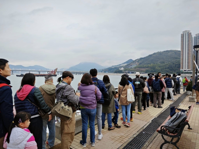将军澳至西湾河街渡启航，最快15分钟过海，乘客赞多项交通选择