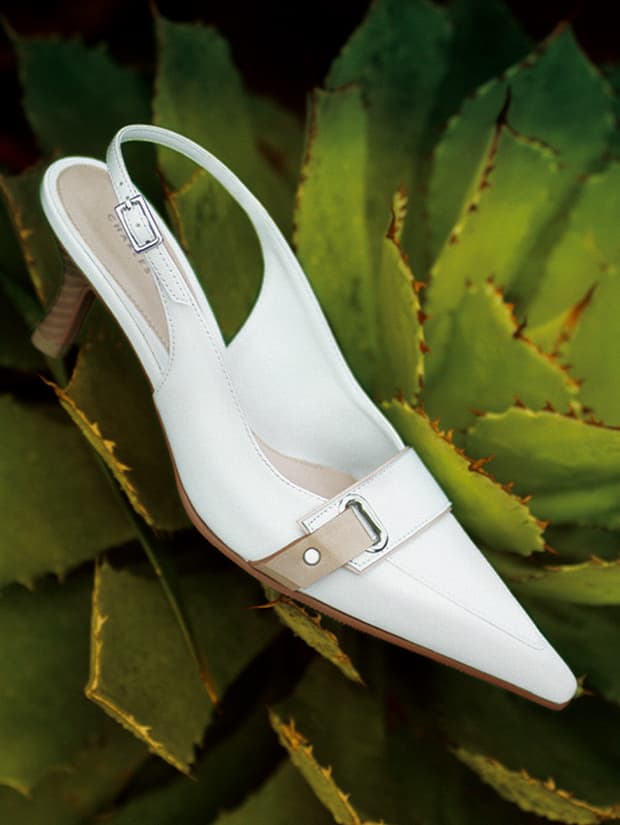 品牌于2004年以一双金属钒带高跟鞋打响名堂。